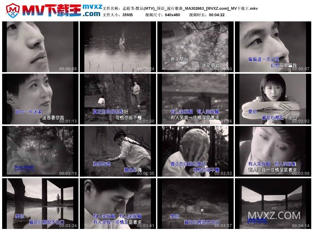 孟庭苇-默认(MTV)_国语_流行歌曲_MA302663